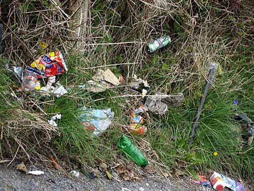 Litter on the Rocklow Road